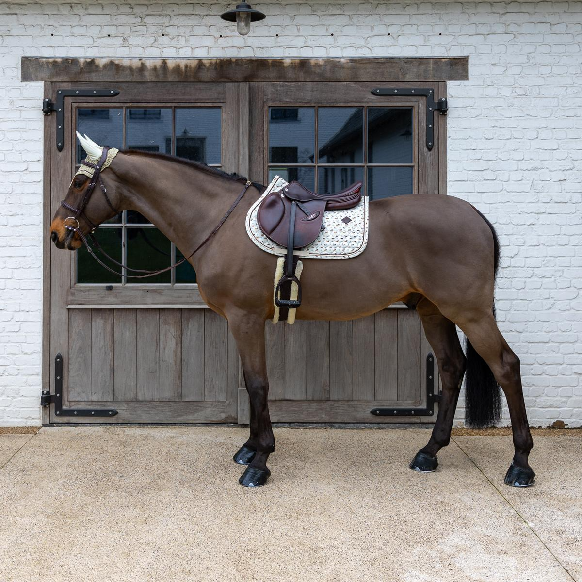 Kentucky Horsewear Saddle Pad Velvet Horse printing Show Jumping