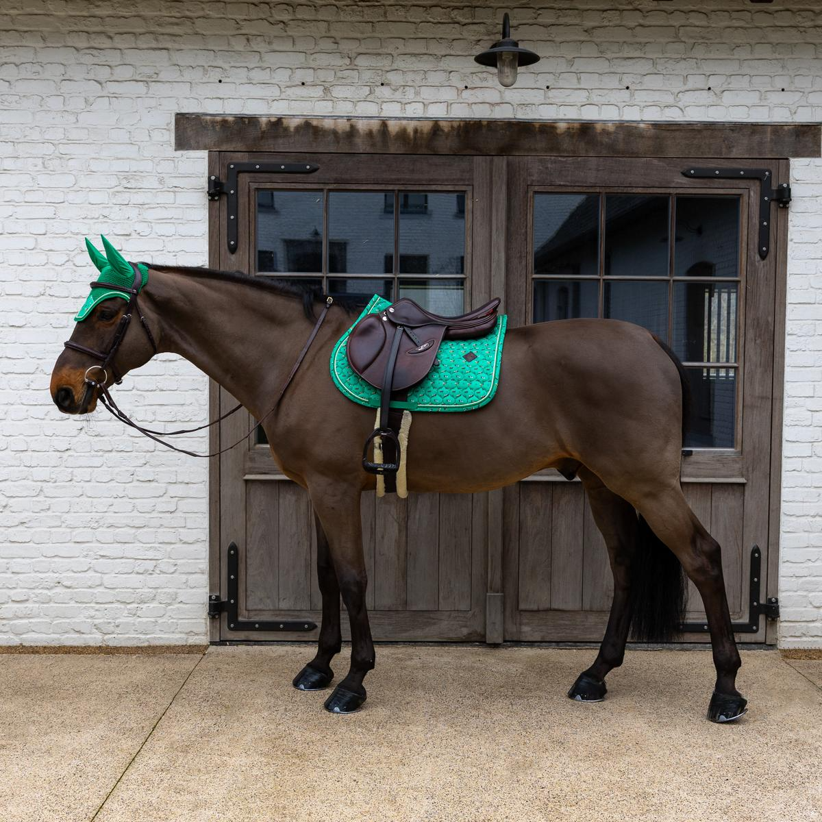 Kentucky Horsewear Saddle Pad Velvet Horse printing Show Jumping