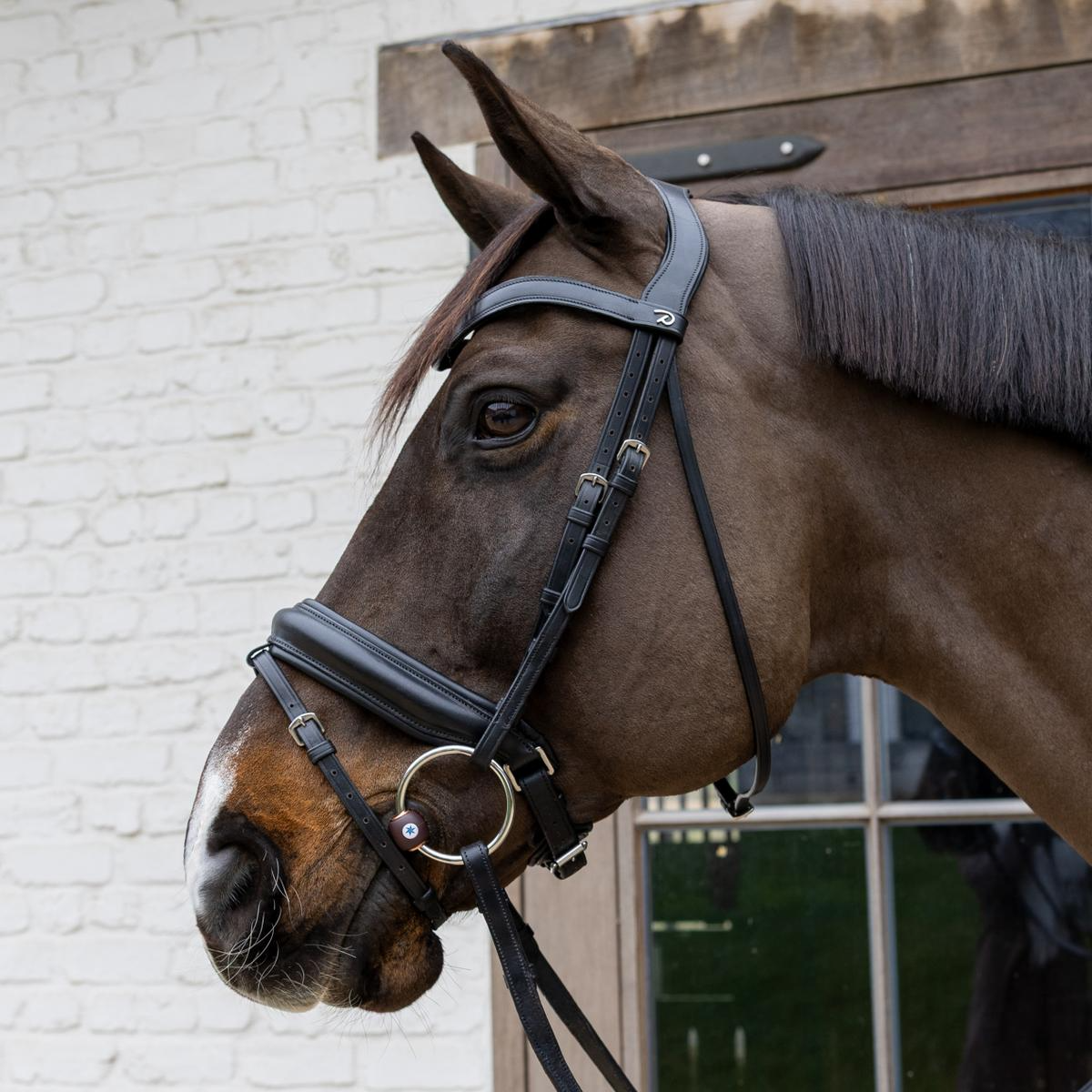Velari Snaffle Flex Loose Ring Hard