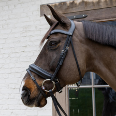 Velari Snaffle Flex Loose Ring Hard
