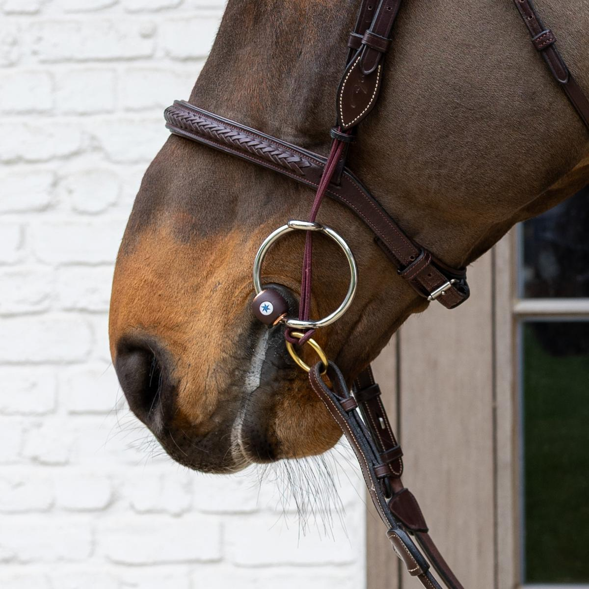 Velari Gag Loose Ring Flex with Tongue Port Hard