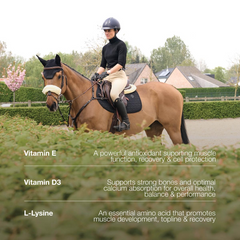 Grooming Deluxe Vitamin Booster Vital