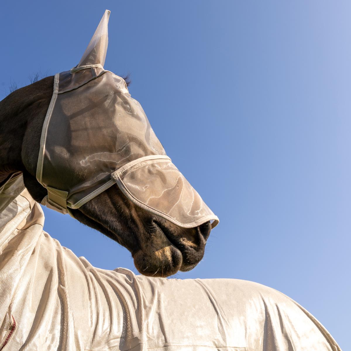 Kentucky Horsewear Fly Mask Classic with ears & nose