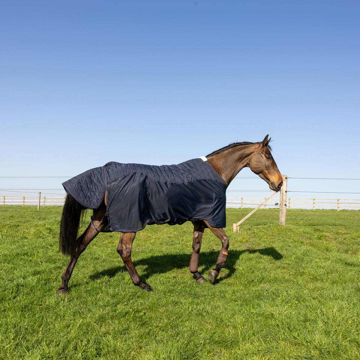 Kentucky Horsewear Transport Combo Cooler Fleece