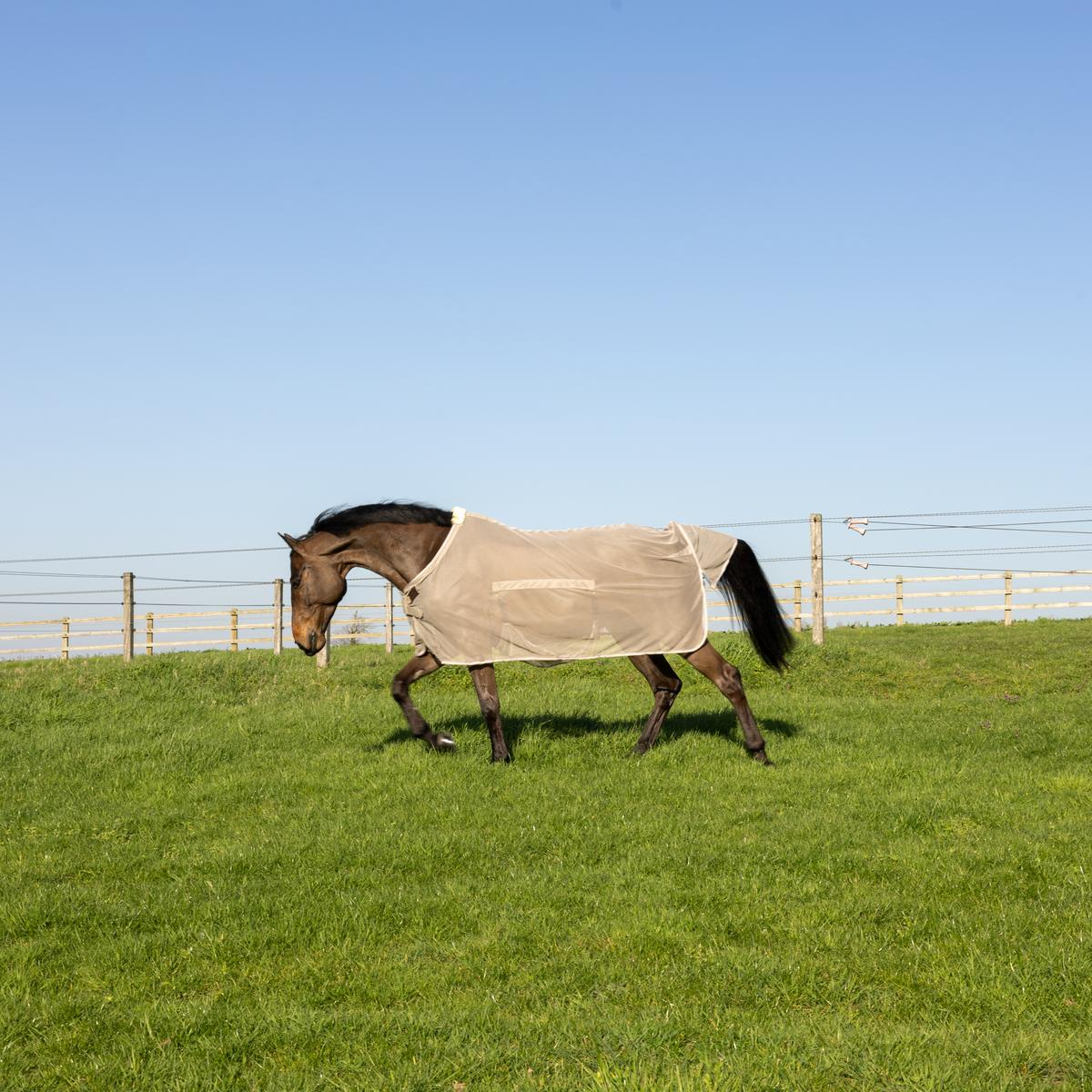 Kentucky Horsewear Fly Rug with Belly Cover Comfort