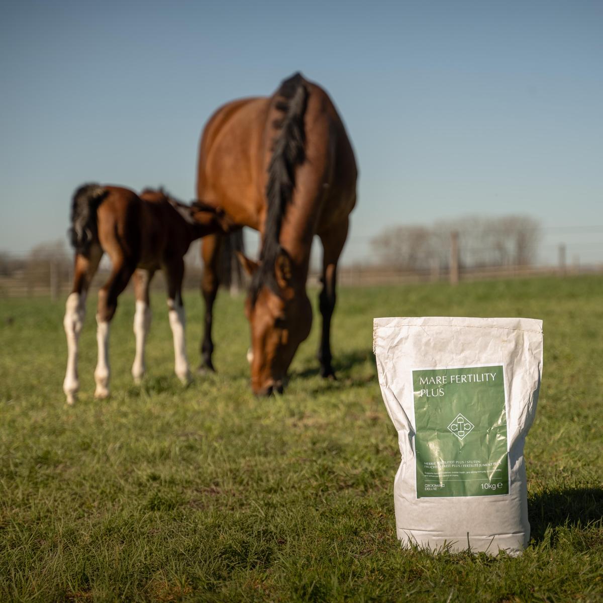 Grooming Deluxe Mare Fertility Plus
