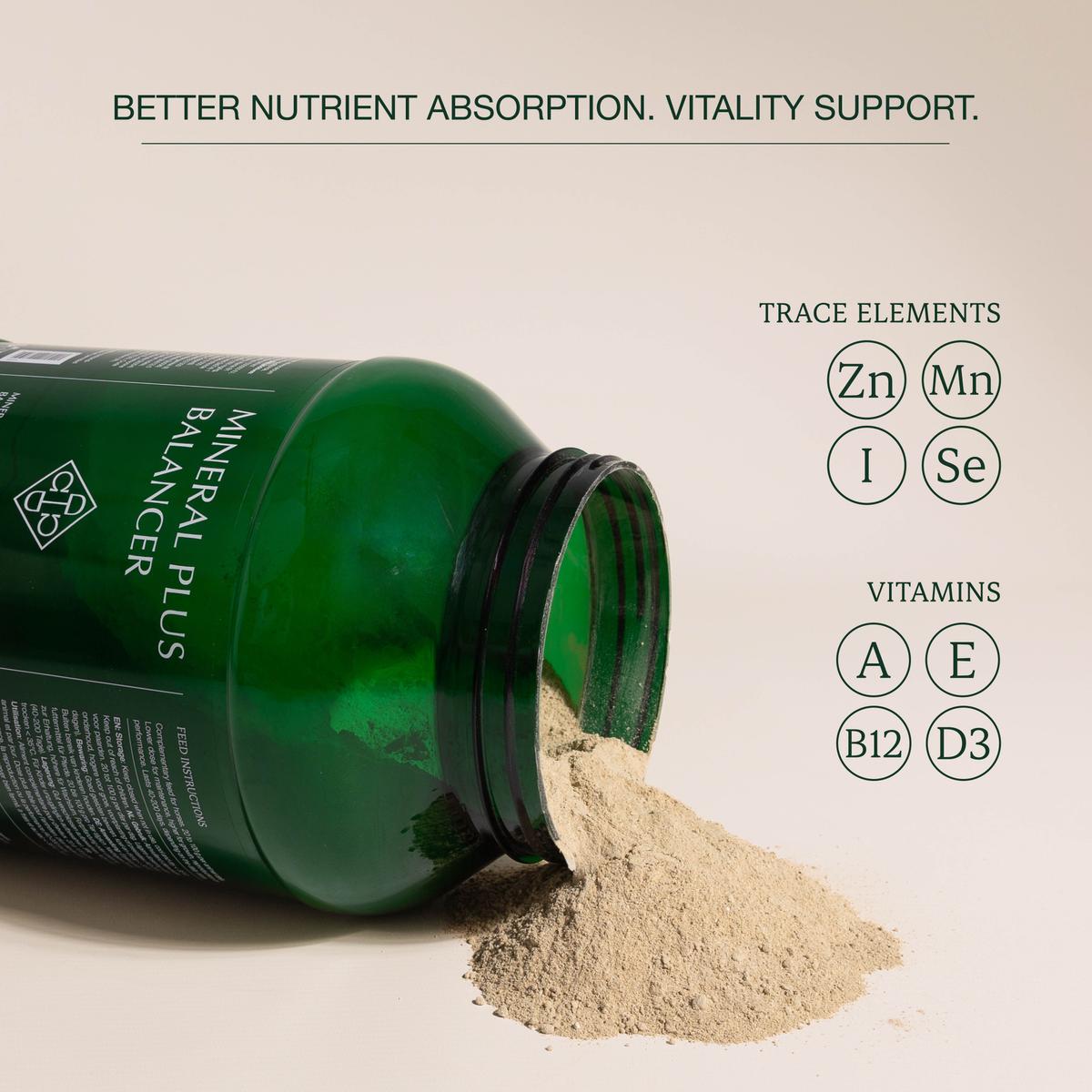 Grooming Deluxe Mineral Plus Balancer