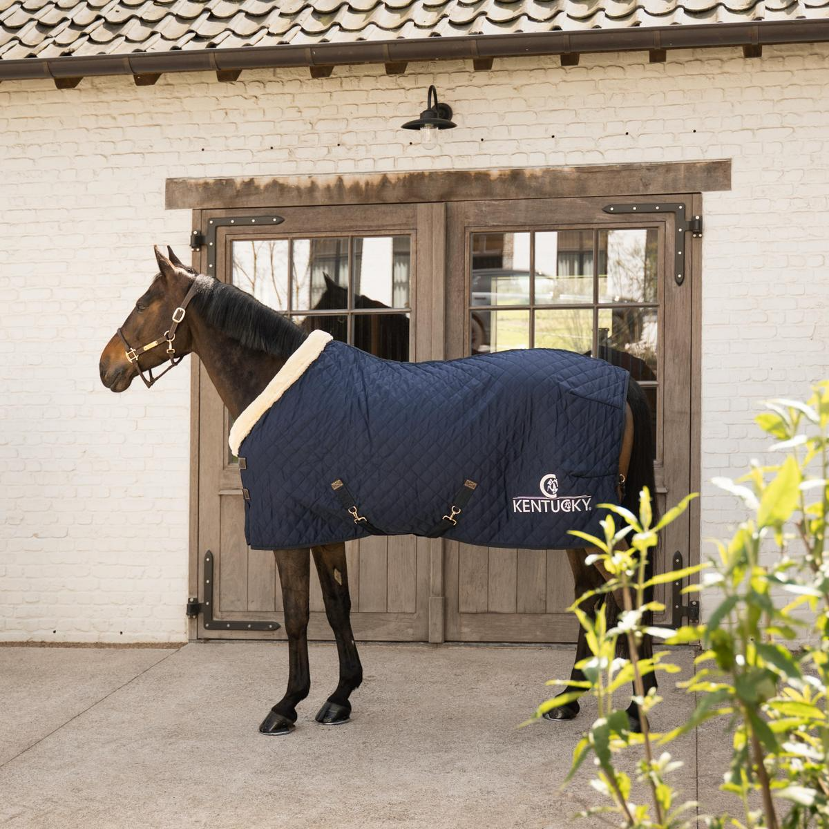 Kentucky Horsewear Show Rug with Kentucky Horsewear Logo
