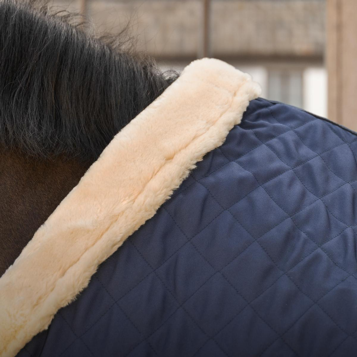 Kentucky Horsewear Show Rug with Kentucky Horsewear Logo