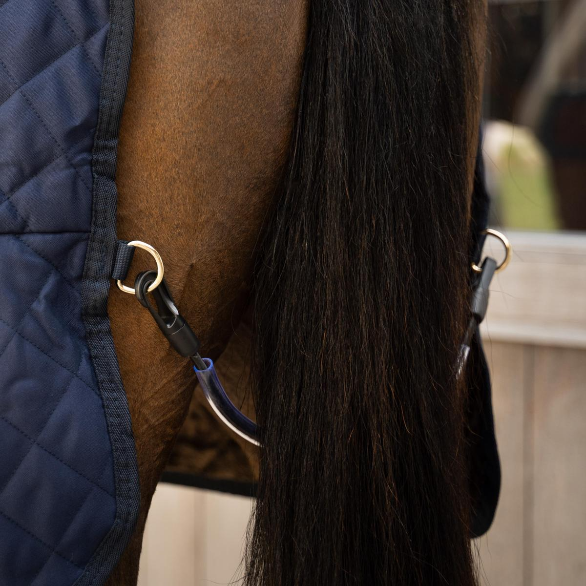 Kentucky Horsewear Show Rug with Kentucky Horsewear Logo