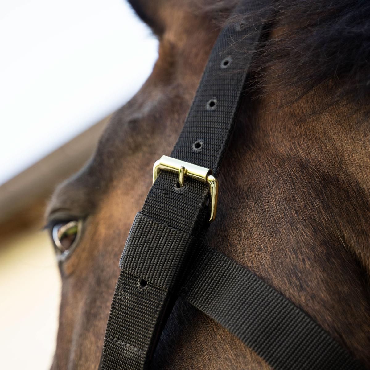 Kentucky Horsewear Heavy Duty Halter