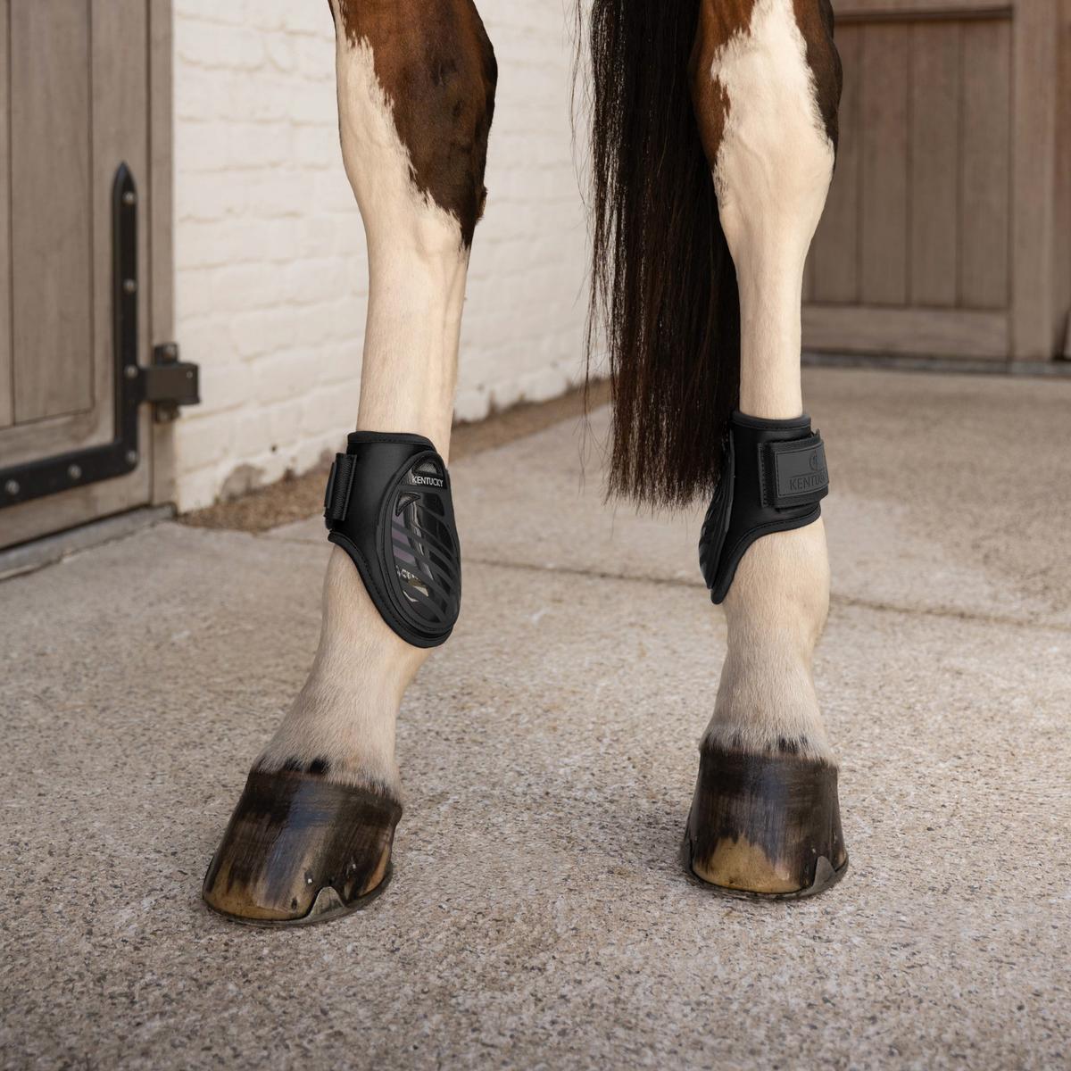 Kentucky Horsewear Young Horse Fetlock Boots Pro