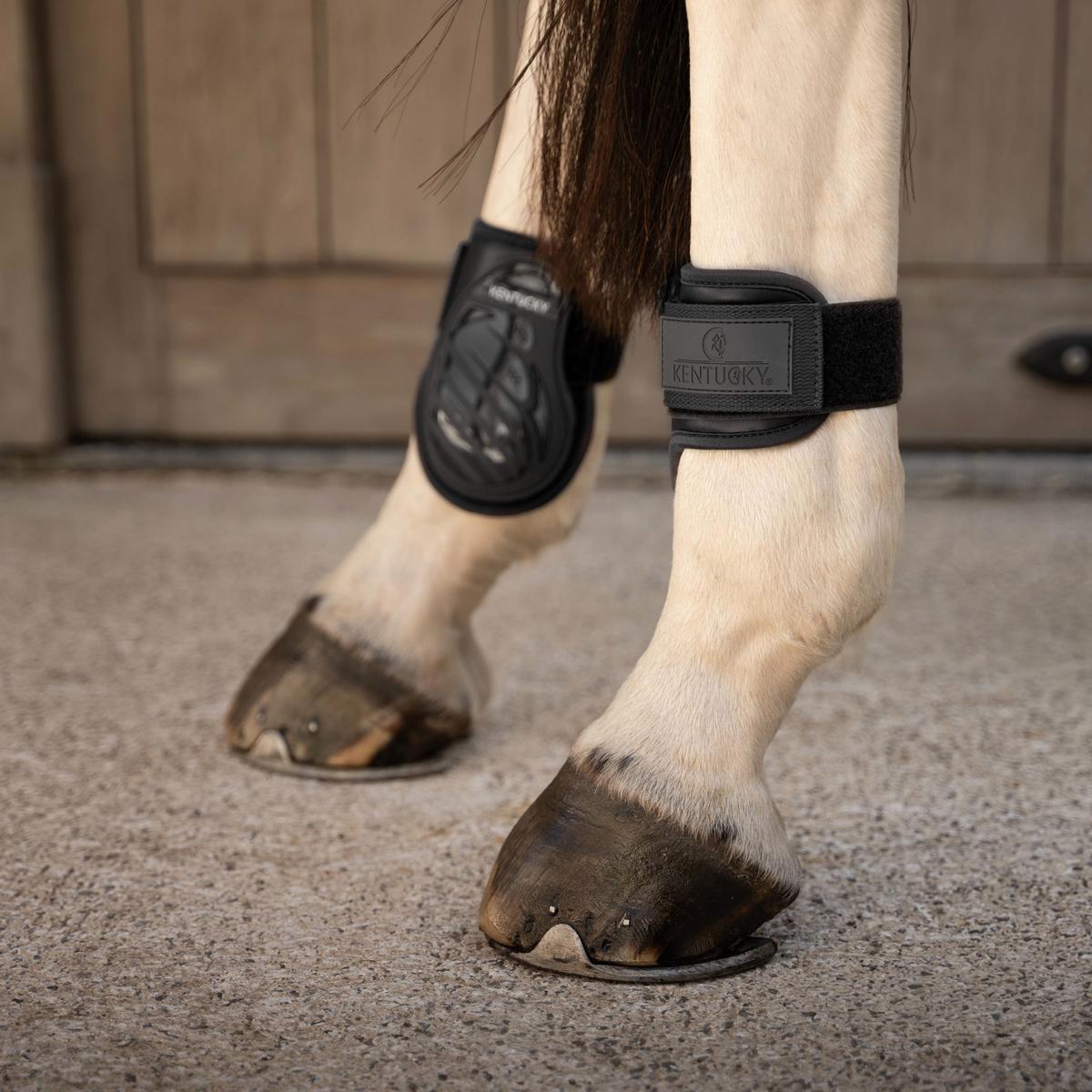 Kentucky Horsewear Young Horse Fetlock Boots Pro