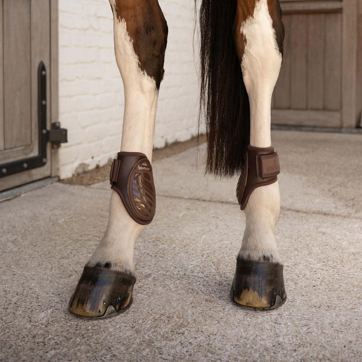 Kentucky Horsewear Young Horse Fetlock Boots Pro