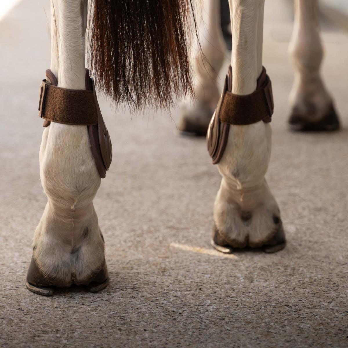 Kentucky Horsewear Young Horse Fetlock Boots Pro