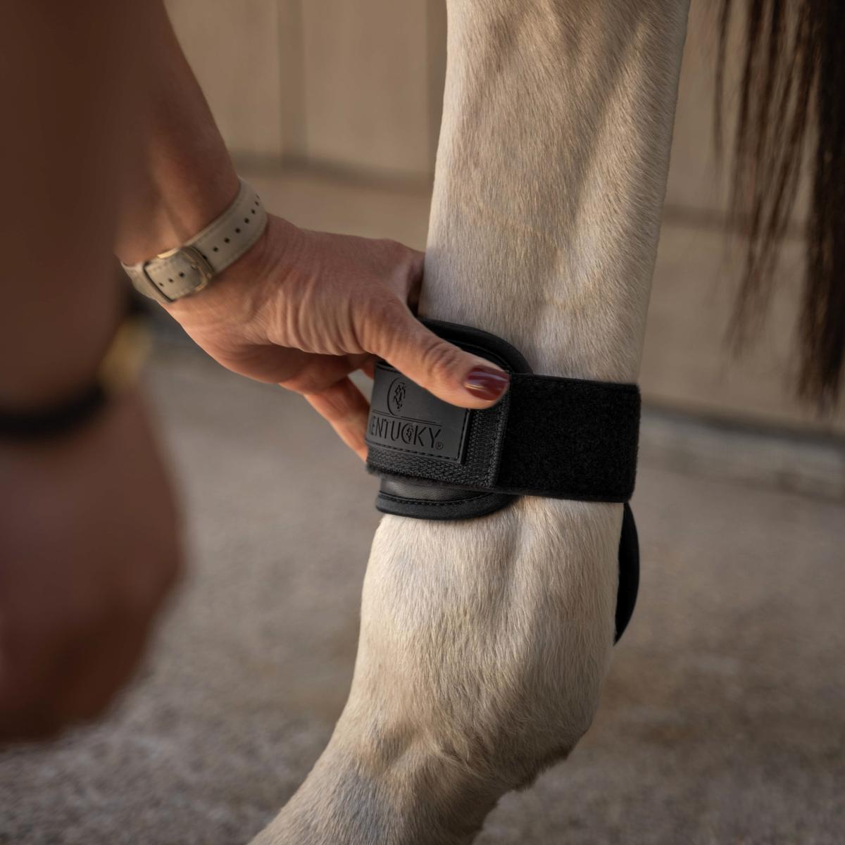 Kentucky Horsewear Young Horse Fetlock Boots Pro