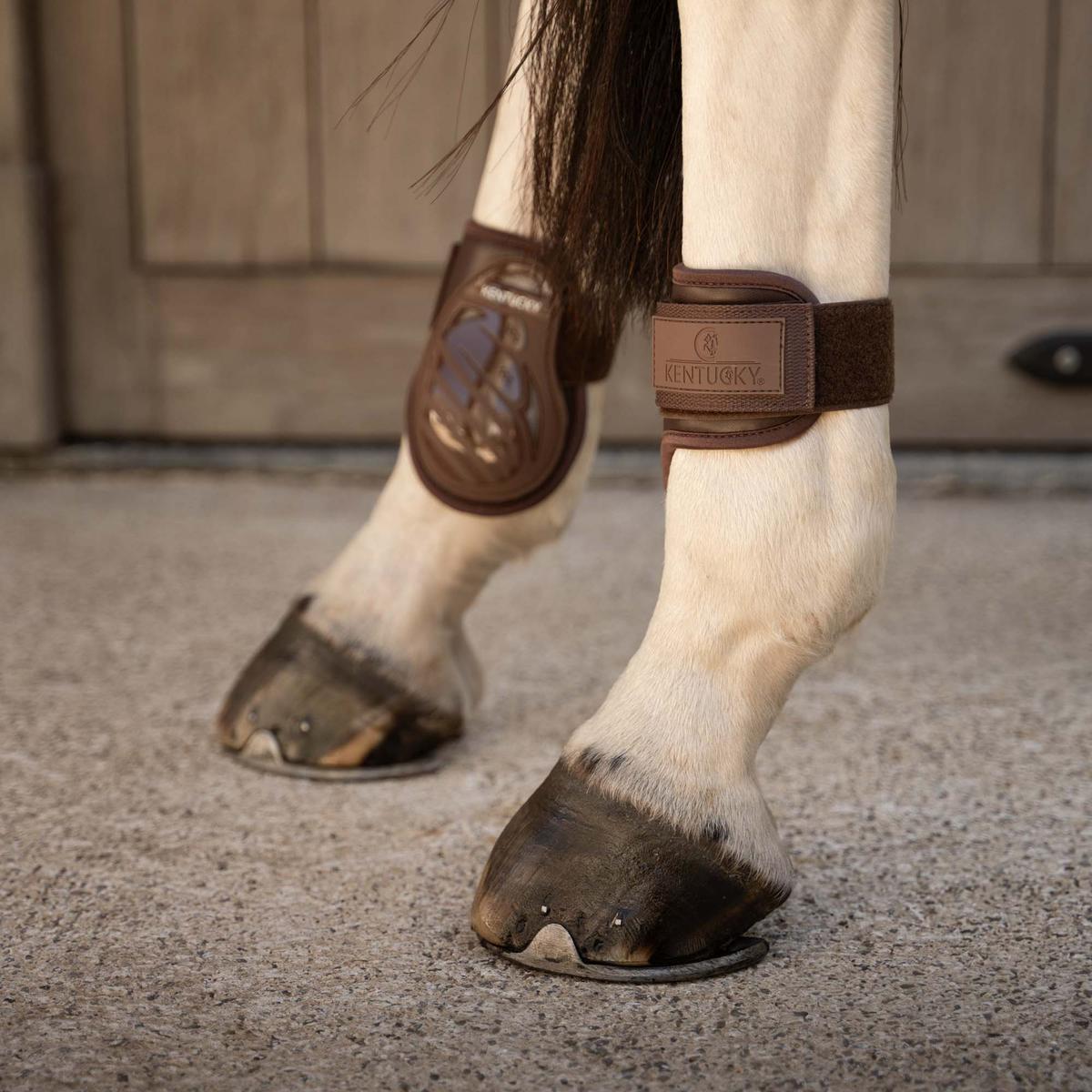 Kentucky Horsewear Young Horse Fetlock Boots Pro