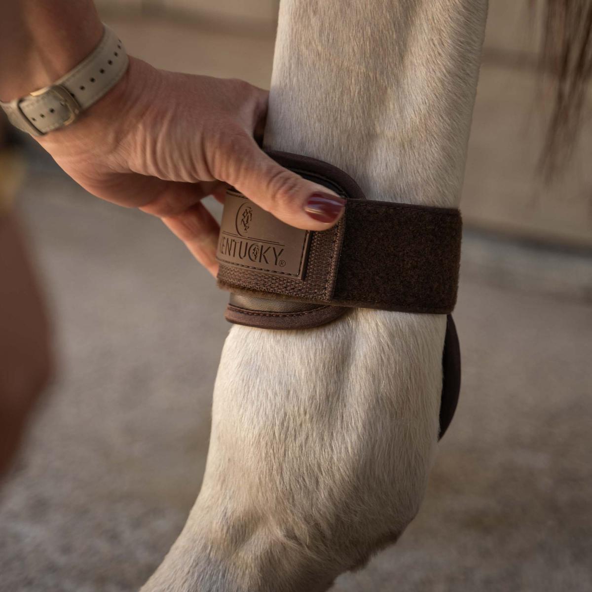 Kentucky Horsewear Young Horse Fetlock Boots Pro