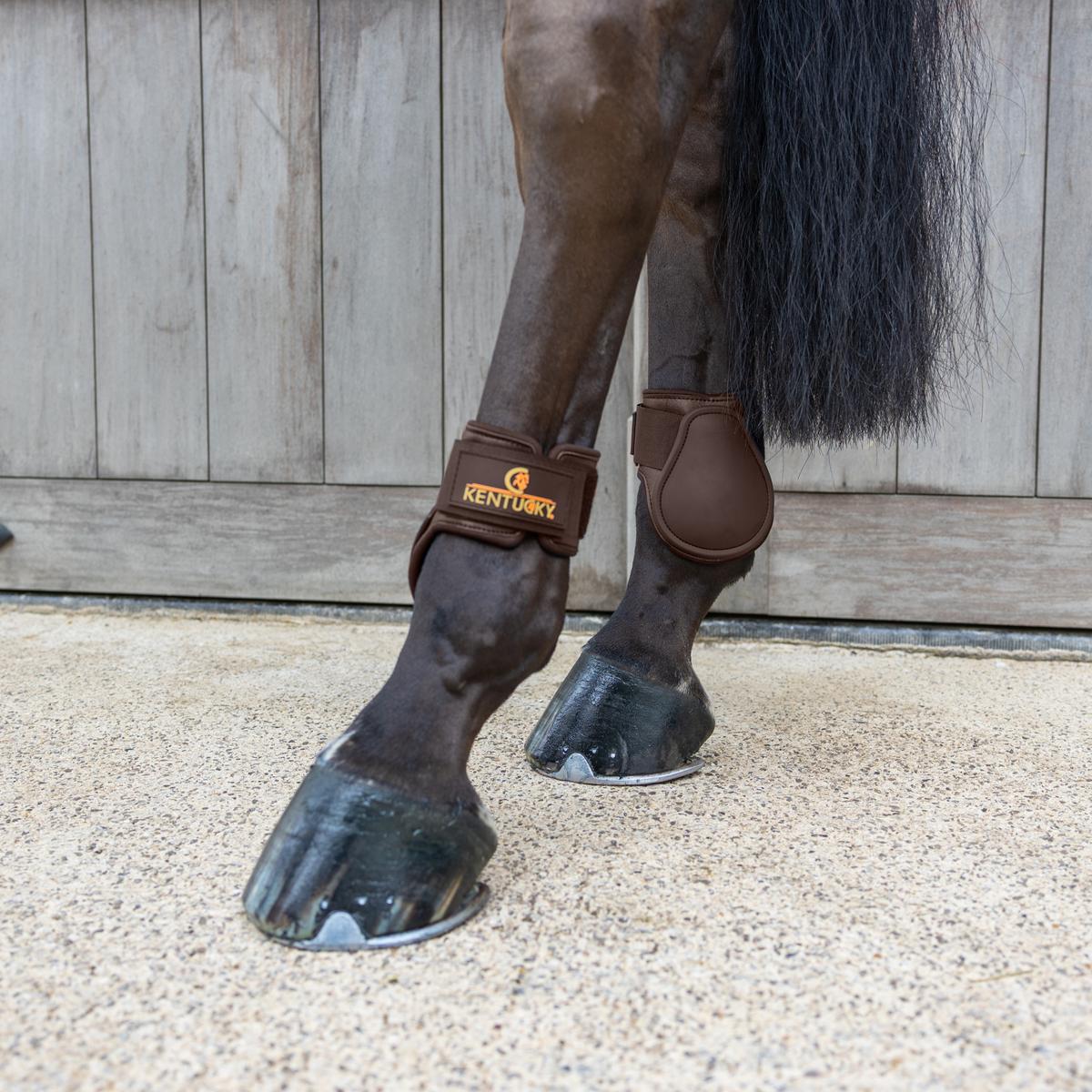 Kentucky Horsewear Young Horse Fetlock Boots Classic