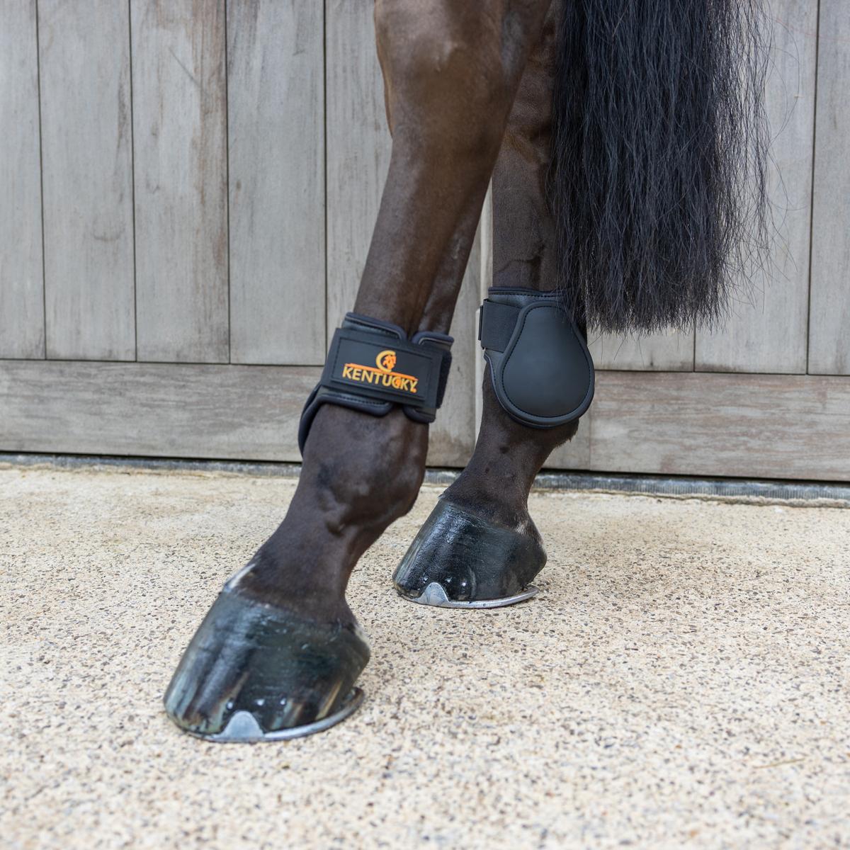 Kentucky Horsewear Young Horse Fetlock Boots Classic