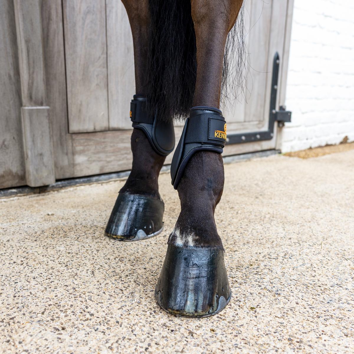 Kentucky Horsewear Young Horse Fetlock Boots Classic