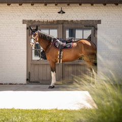 Kentucky Horsewear Fly Veil Wellington Velari
