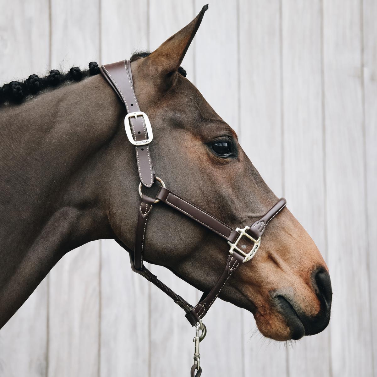 Kentucky Horsewear Leather Anatomic Halter Neck Piece