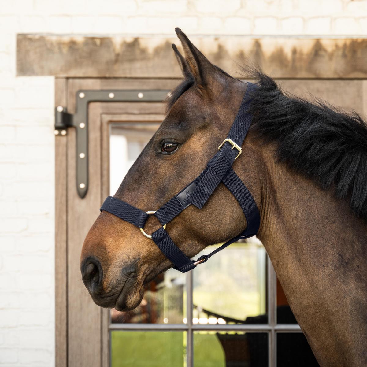 Kentucky Horsewear Heavy Duty Halter