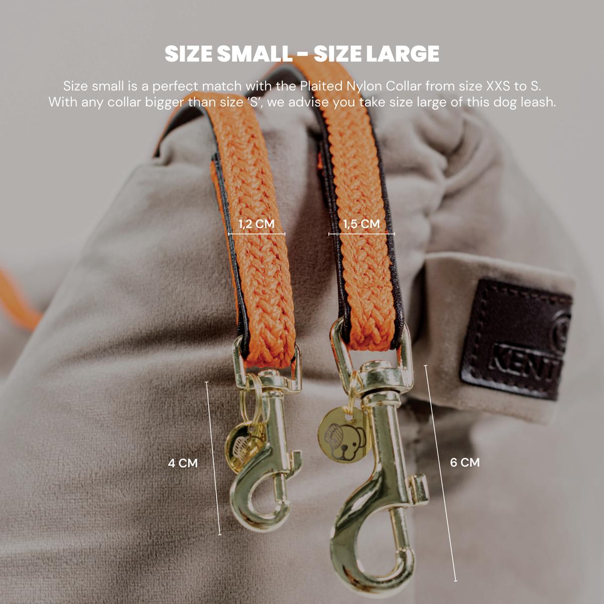 Kentucky Horsewear Plaited Nylon Dog Leash