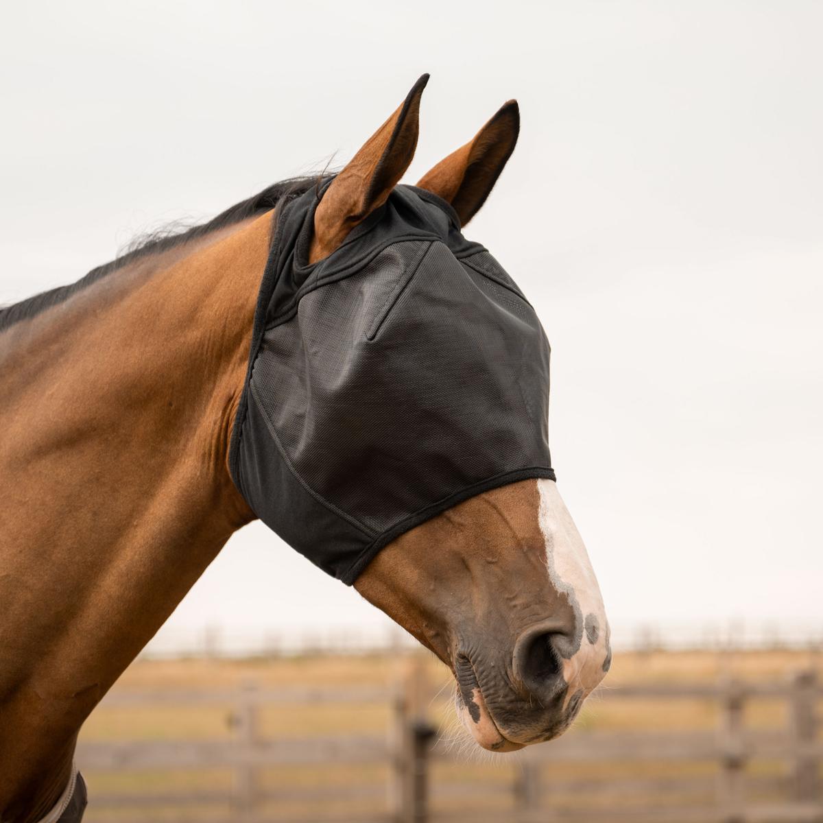 Kentucky Horsewear Fly Mask Pro Strong without Ears
