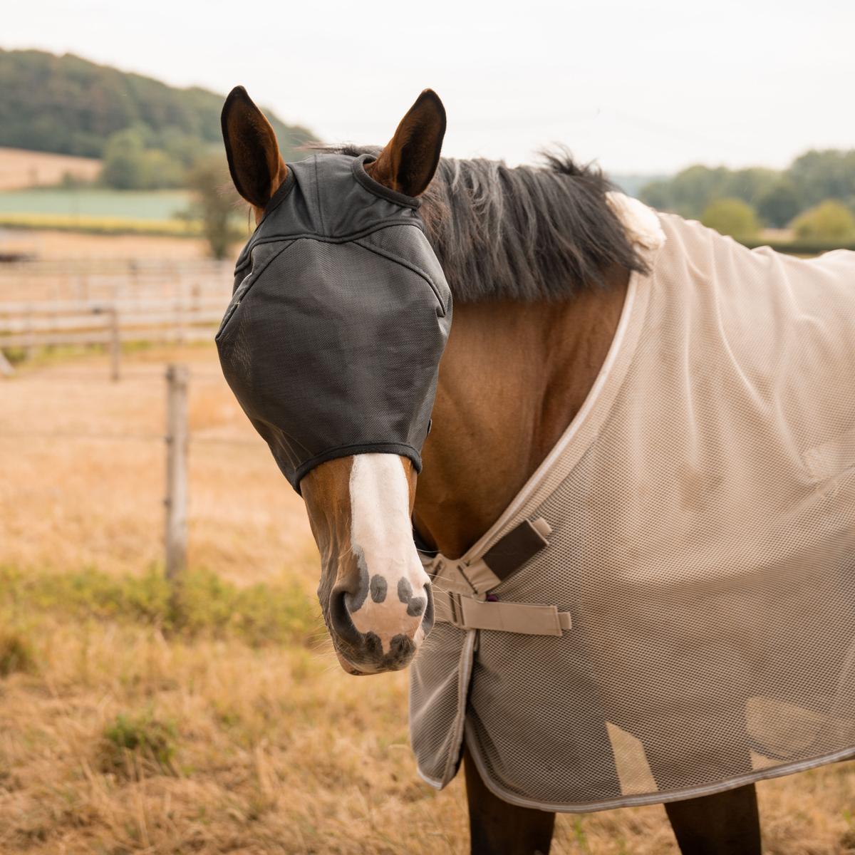 Kentucky Horsewear Fly Mask Pro Strong without Ears