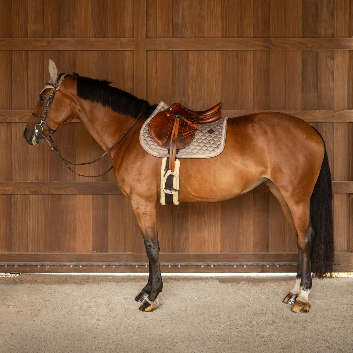 Kentucky Horsewear Saddle Pad Classic Onion Plaited Glitter Rope Show Jumping
