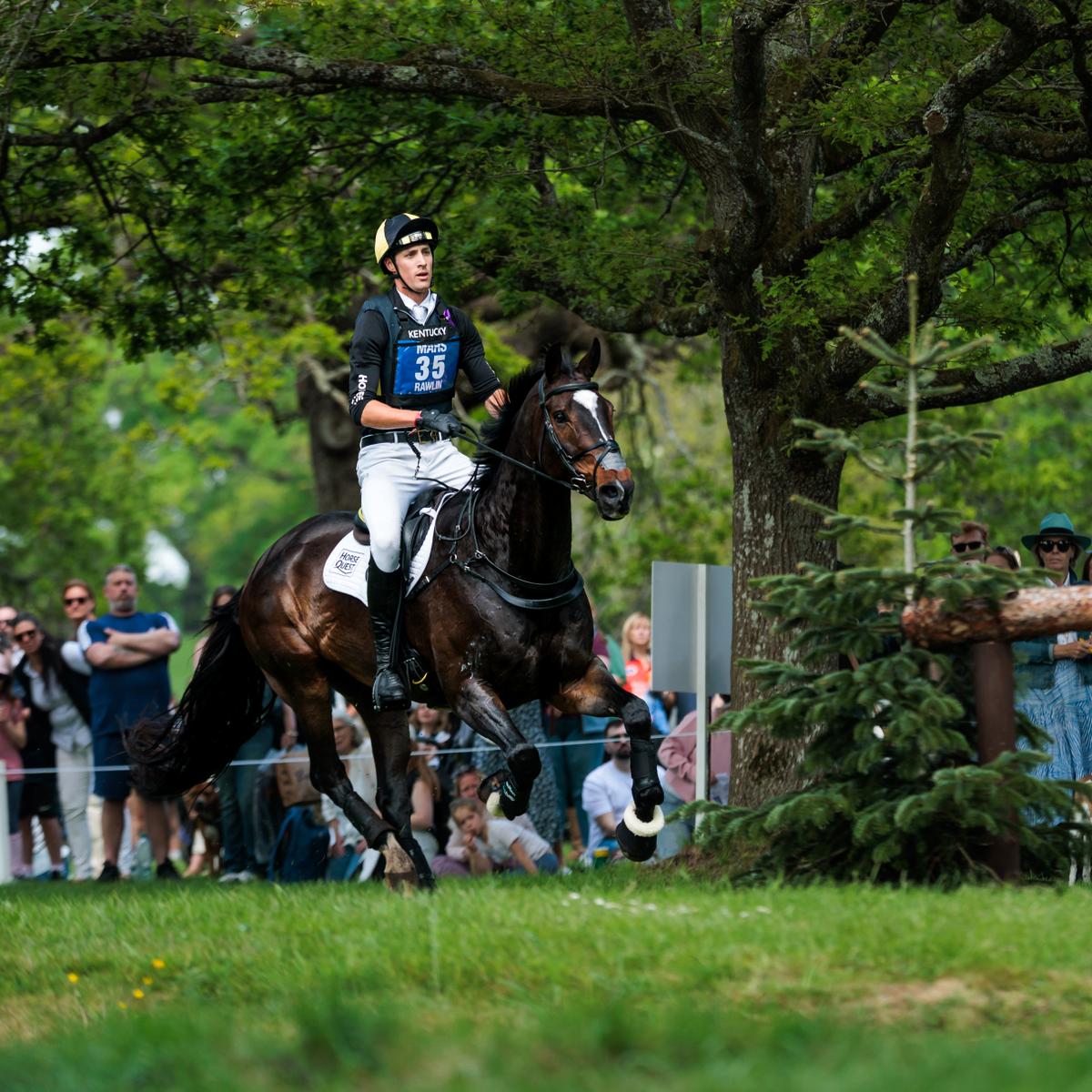 Kentucky Horsewear Eventing Bib