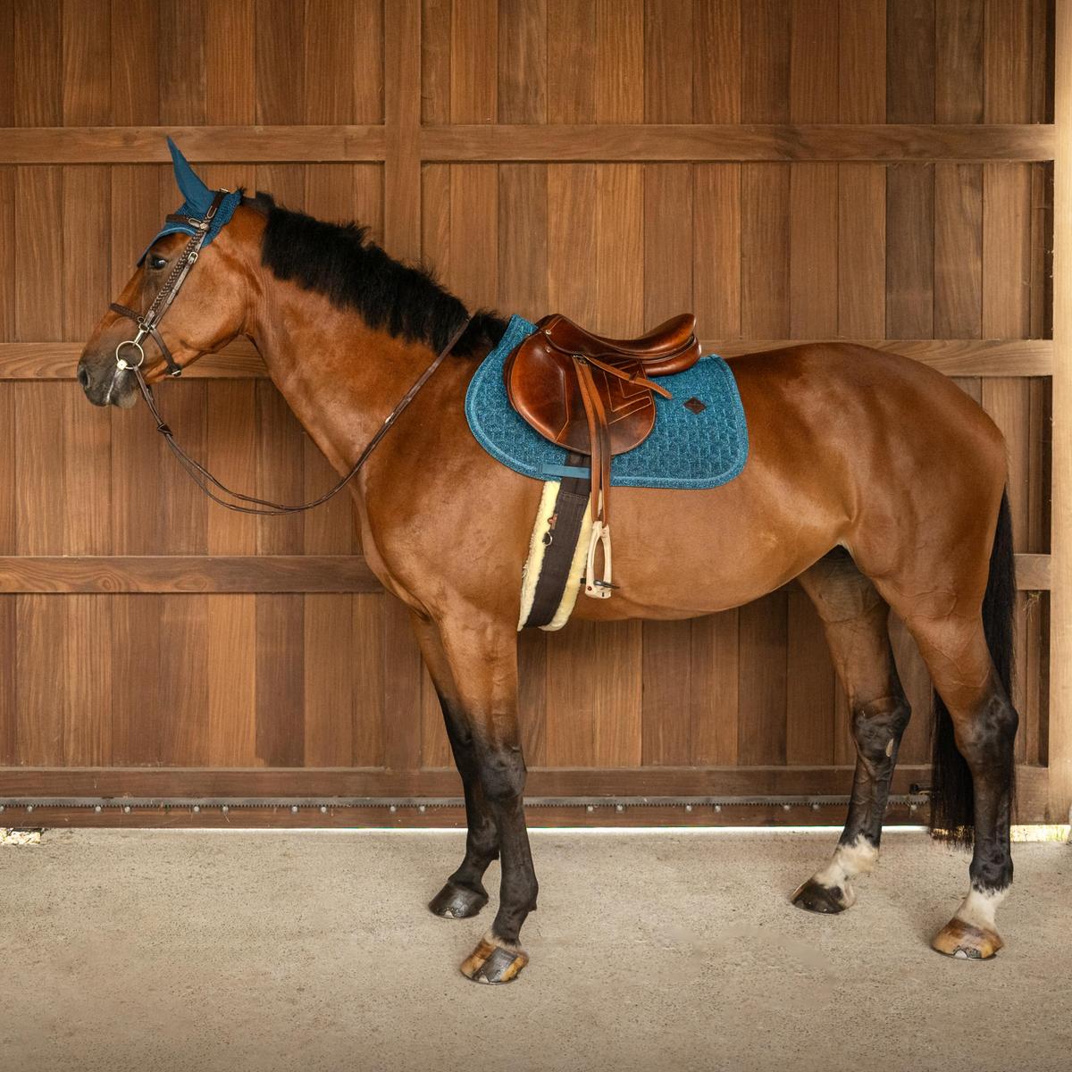 Kentucky Horsewear Saddle Pad Full Sparkling Show Jumping