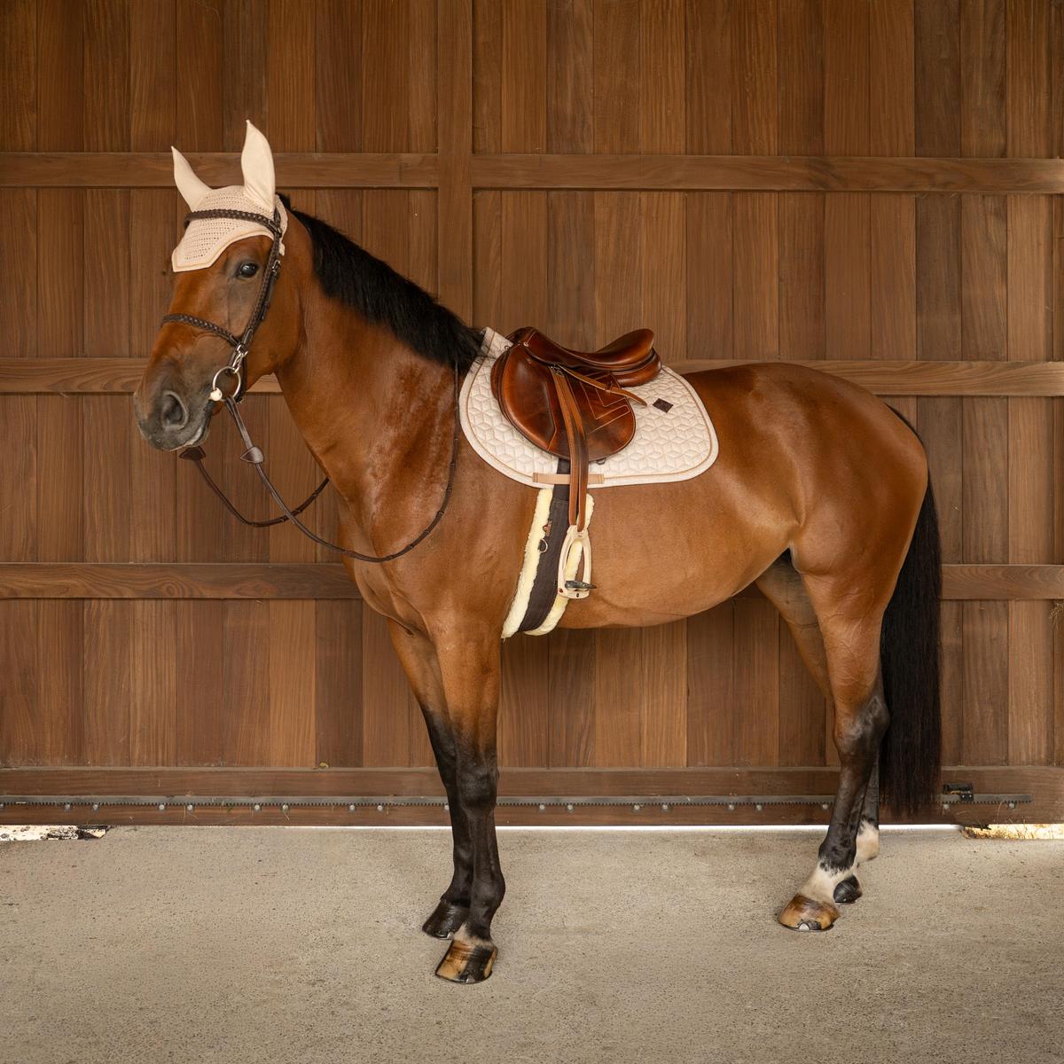 Kentucky Horsewear Saddle Pad Full Sparkling Show Jumping