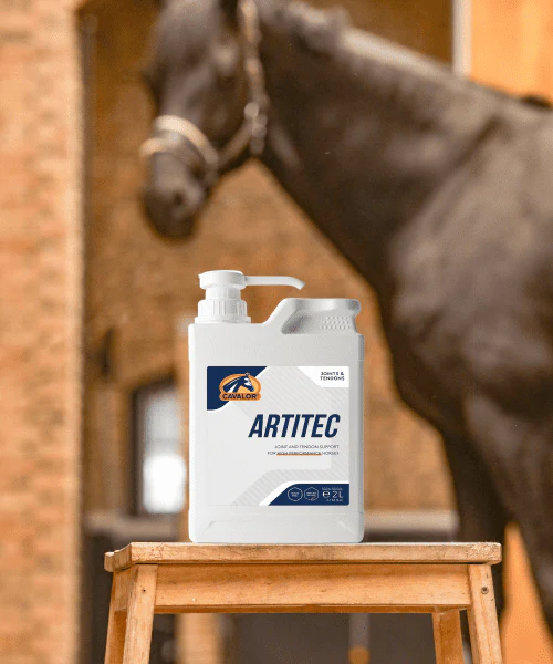 Cavalor ArtiTec - Joint and tendon support