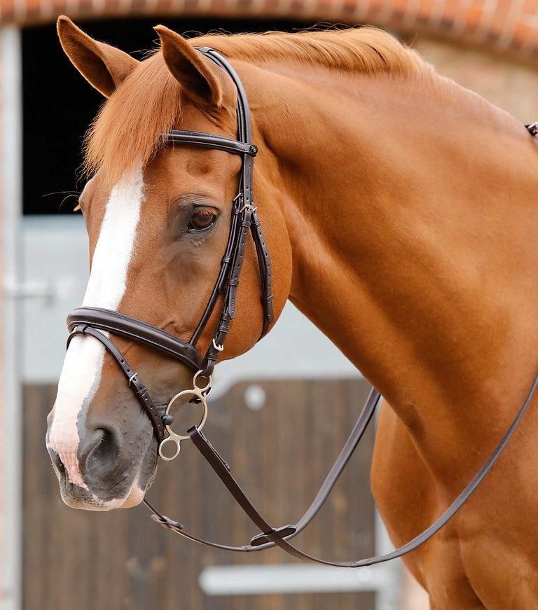 PEI Delizioso Snaffle Bridle