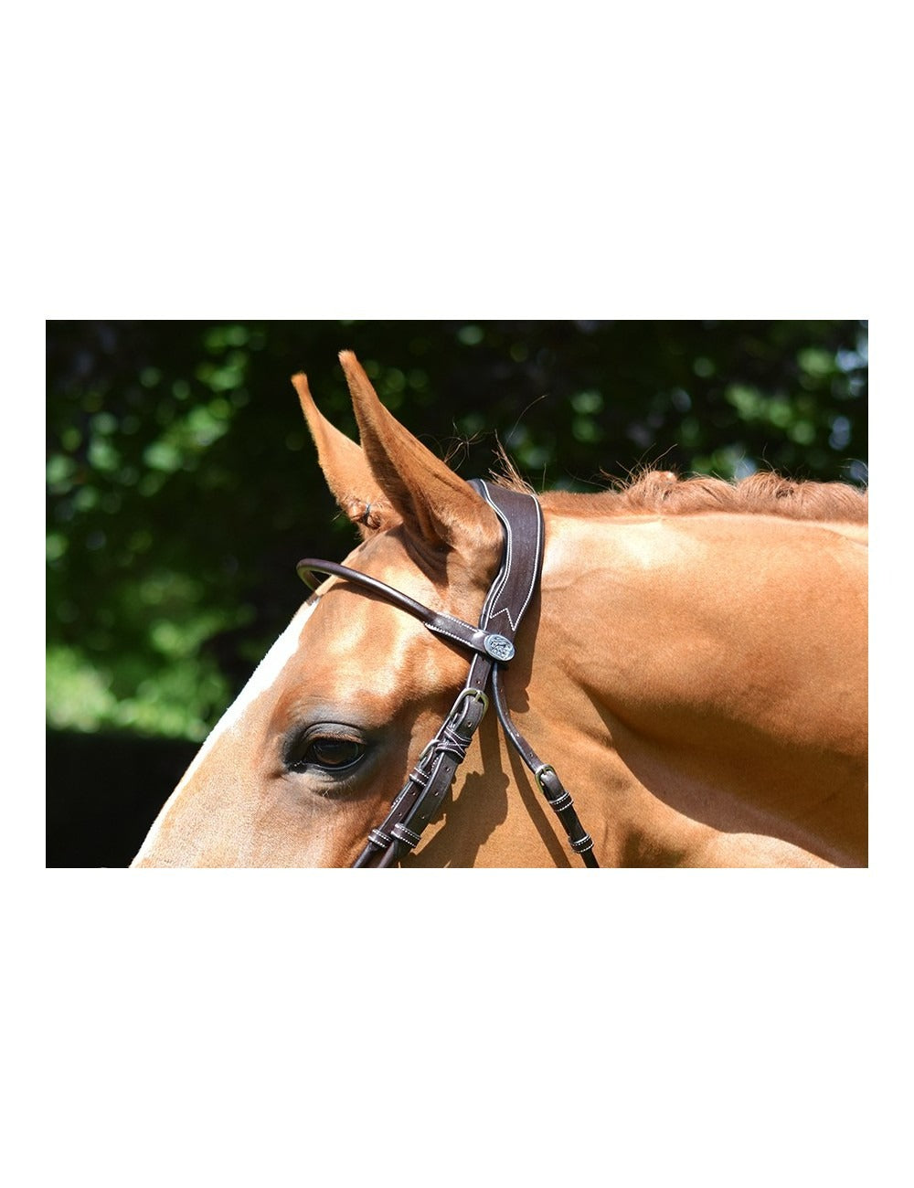 Jumpin Friday Bridle - Week Collection