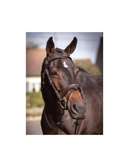 Jumpin Friday Bridle - Week Collection