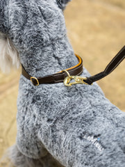 Lemieux Toy Puppy Collar & Lead Autumn 2024