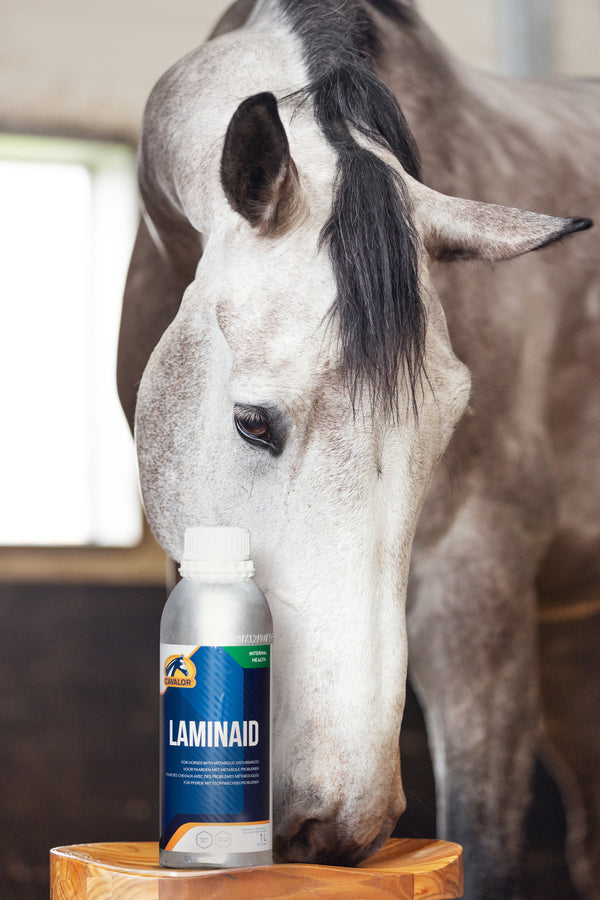 Cavalor LaminAid - Supports metabolic problems