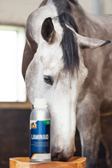Cavalor LaminAid - Supports metabolic problems
