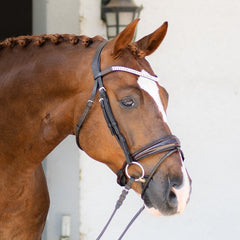 Lumiere 'Amie' Rolled Leather Bridle (Hanoverian)