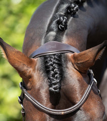 PEI Stellazio Anatomic Snaffle Bridle with Flash