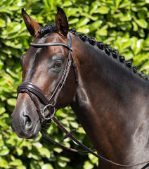 PEI Stellazio Anatomic Snaffle Bridle with Flash