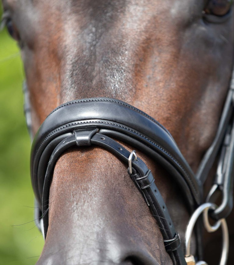 PEI Stellazio Anatomic Snaffle Bridle with Flash