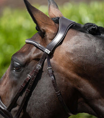 PEI Stellazio Anatomic Snaffle Bridle with Flash