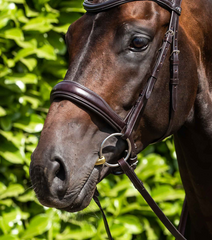 PEI Brass Alloy Training Bit with Lozenge