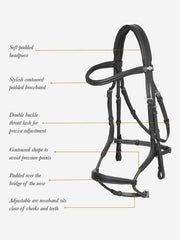 LeMieux Arika Adjustable Anatomic Noseband Bridle