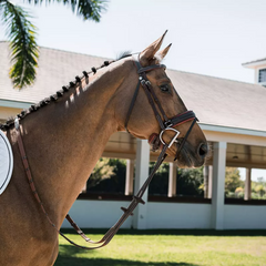 Devoucoux Biarritz Bridle